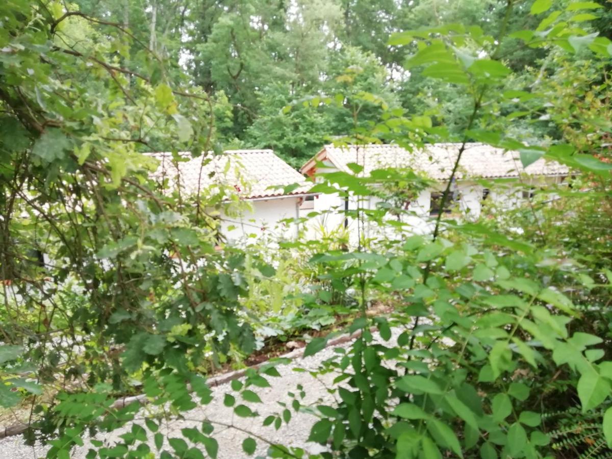Pause Nature. Maison Ananda A 14 Kms De Toulouse Avec Parking Privatif Lapeyrouse-Fossat Dış mekan fotoğraf